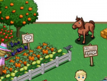 Farmville, le bonheur dans le pré ?